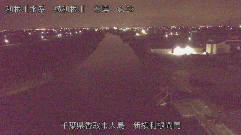 yoko2026032304_image