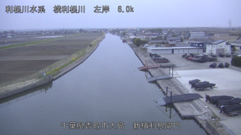 yoko2026032306_image