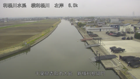 yoko2026032308_image