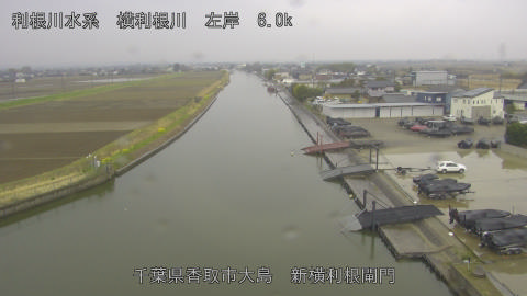 yoko2026032310_image