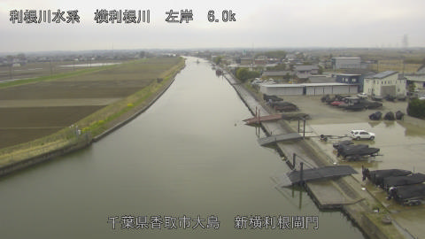 yoko2026032312_image