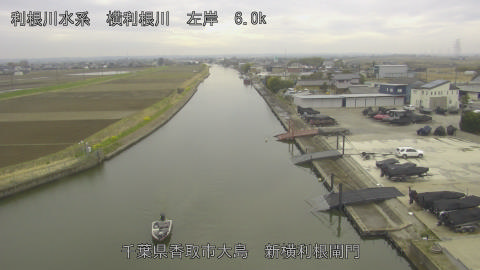 yoko2026032313_image