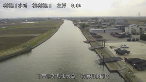 yoko2026032314_image