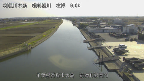 yoko2026032316_image