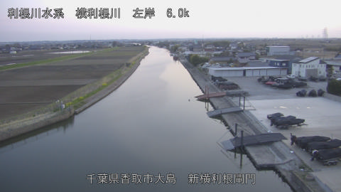 yoko2026032318_image