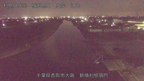 yoko2026032319_image