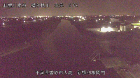 yoko2026032321_image