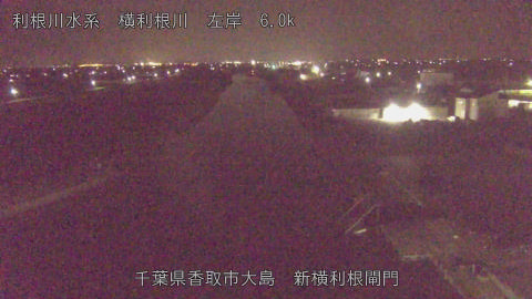 yoko2026032400_image