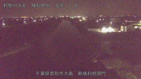 yoko2026032401_image