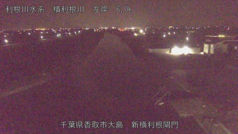 yoko2026032402_image