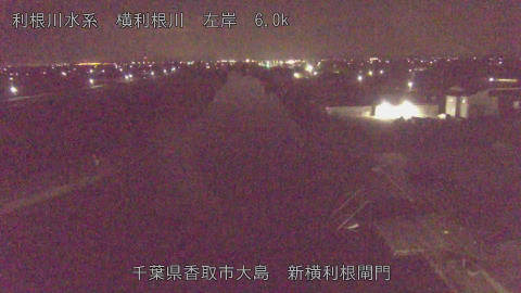 yoko2026032403_image