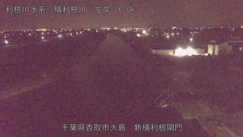 yoko2026032404_image