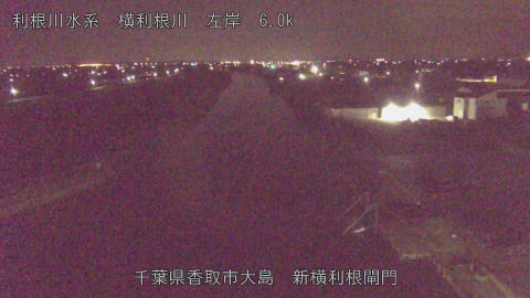 yoko2026032405_image