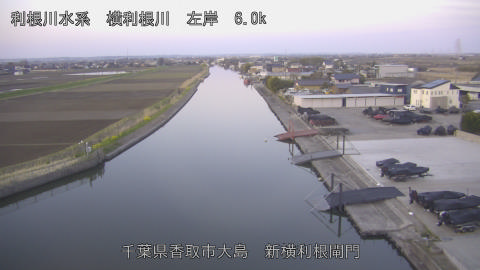 yoko2026032406_image