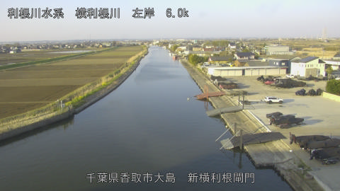 yoko2026032407_image