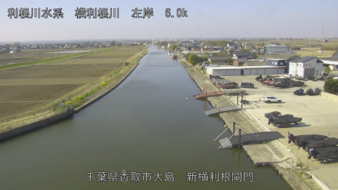 yoko2026032409_image