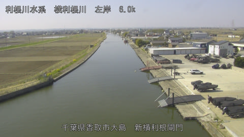 yoko2026032410_image