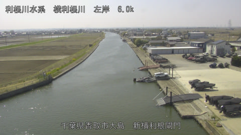 yoko2026032412_image