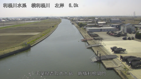 yoko2026032413_image