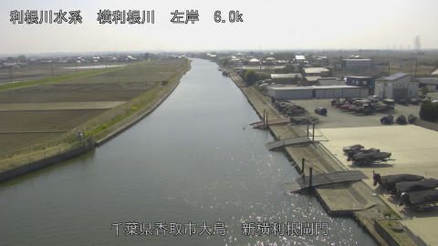 yoko2026032414_image