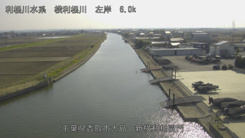 yoko2026032415_image