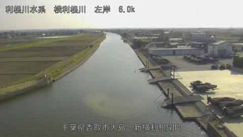 yoko2026032416_image