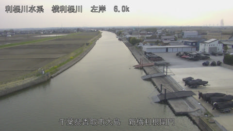 yoko2026032417_image