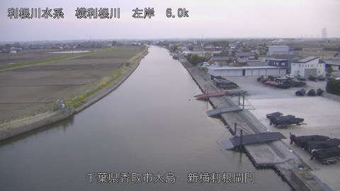 yoko2026032418_image