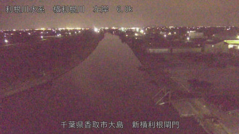 yoko2026032419_image