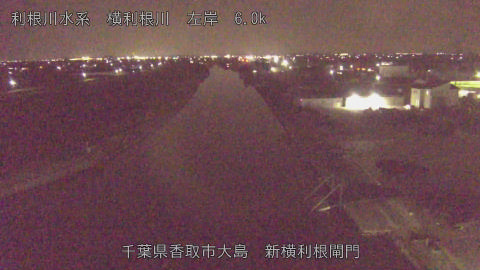 yoko2026032421_image