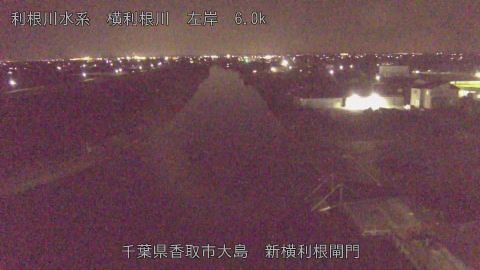 yoko2026032422_image