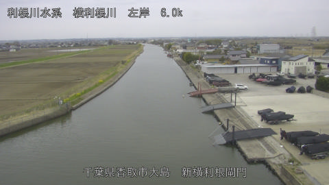 yoko2026032512_image