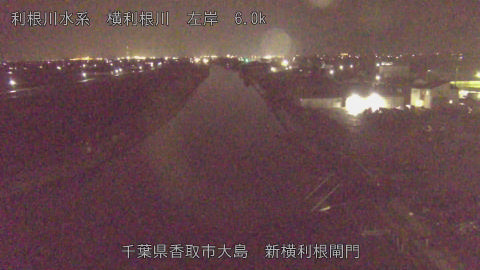 yoko2026032523_image