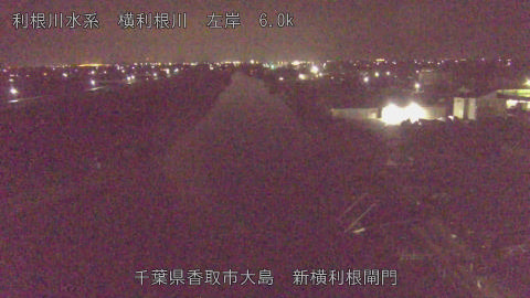 yoko2026032601_image