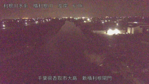 yoko2026032602_image