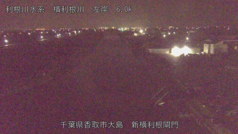 yoko2026032604_image