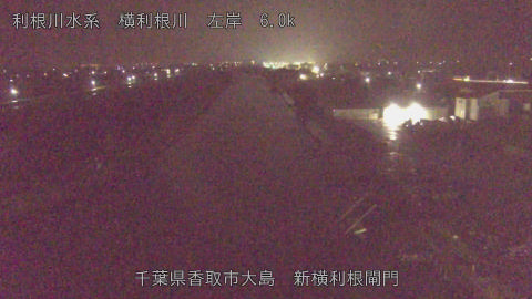 yoko2026032605_image