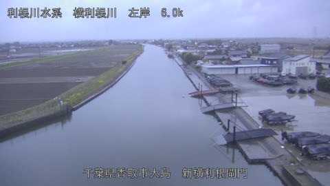 yoko2026032606_image