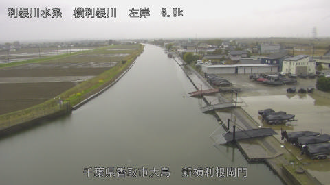 yoko2026032609_image