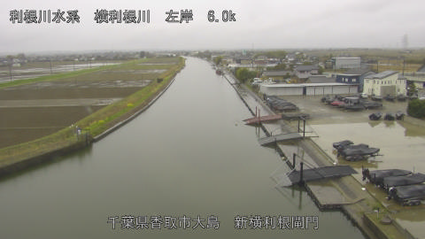 yoko2026032610_image