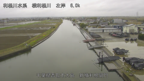 yoko2026032611_image