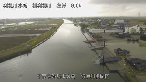 yoko2026032612_image