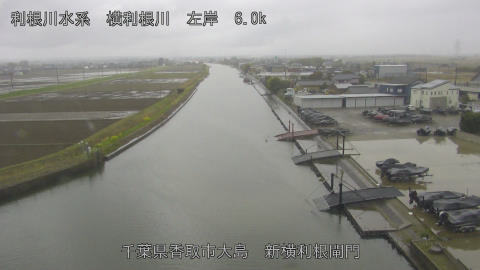 yoko2026032613_image