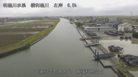 yoko2026032614_image