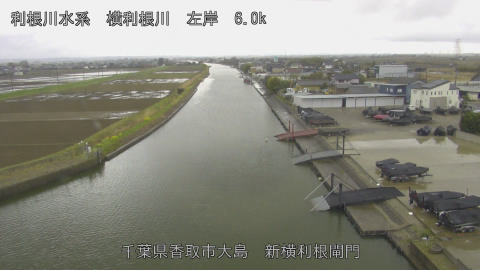 yoko2026032615_image