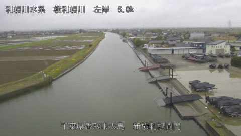 yoko2026032616_image