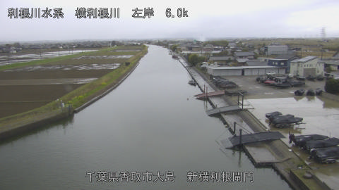 yoko2026032617_image