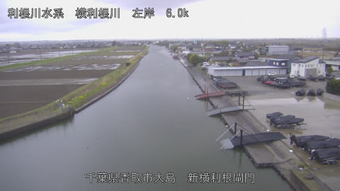 yoko2026032618_image