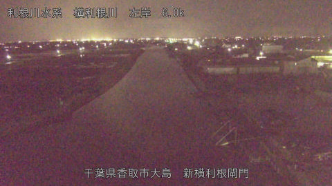 yoko2026032619_image