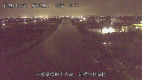 yoko2026032620_image